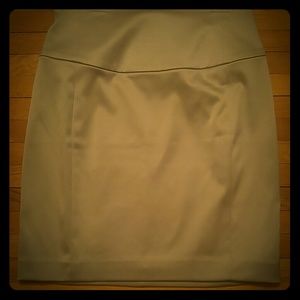 NWT Express skirt